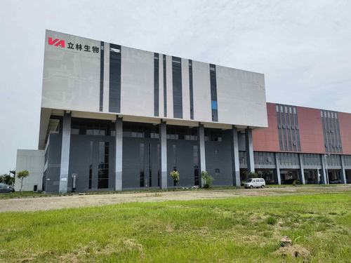 雙品牌戰略驅動，雙廠布局夯實根基 蓋夫內外貿并舉，技術開發引領全球化新篇章